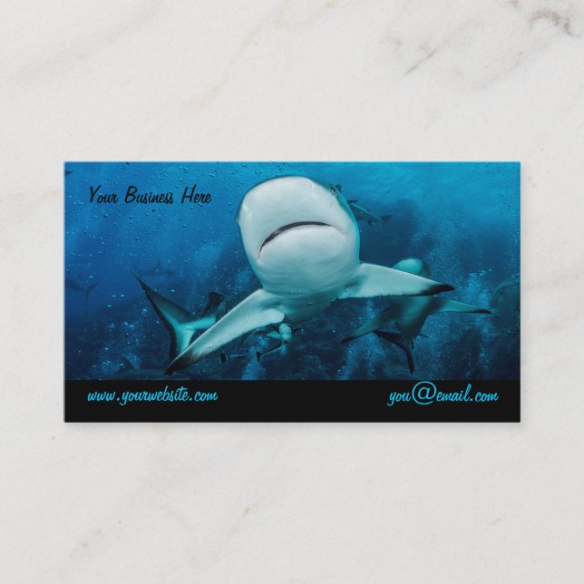 Carte de visite de requin de récif (Devant)