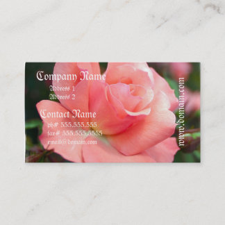 Carte de visite de rose de rose