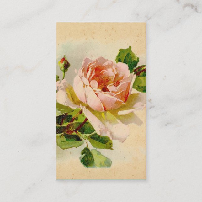 Carte de visite de rose victorienne (Devant)