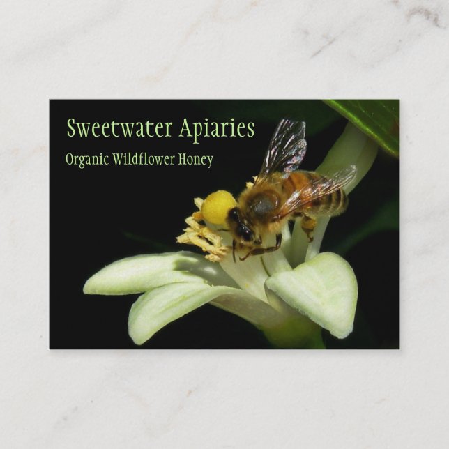 Carte de visite de rucher d'abeille de miel (Devant)