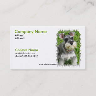Carte de visite de Schnauzer miniature