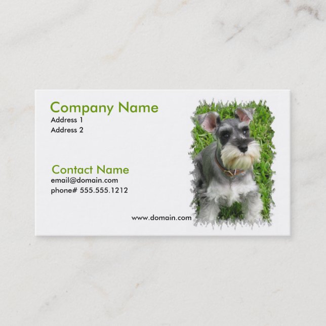 Carte de visite de Schnauzer miniature (Devant)