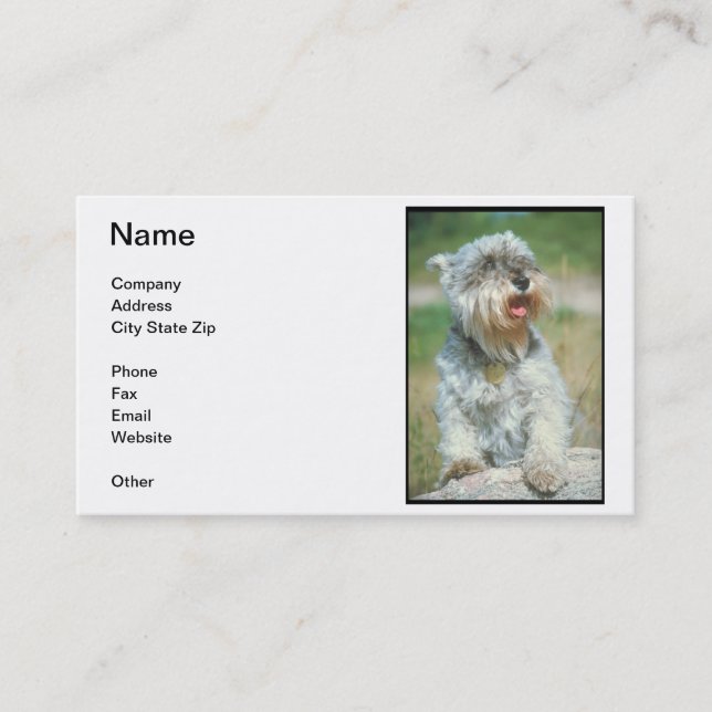 Carte de visite de Schnauzer miniature (Devant)