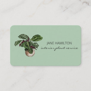 Carte de visite de service Plante design d'intérie