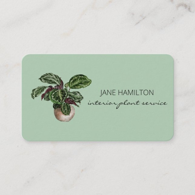 Carte de visite de service Plante design d'intérie (Devant)