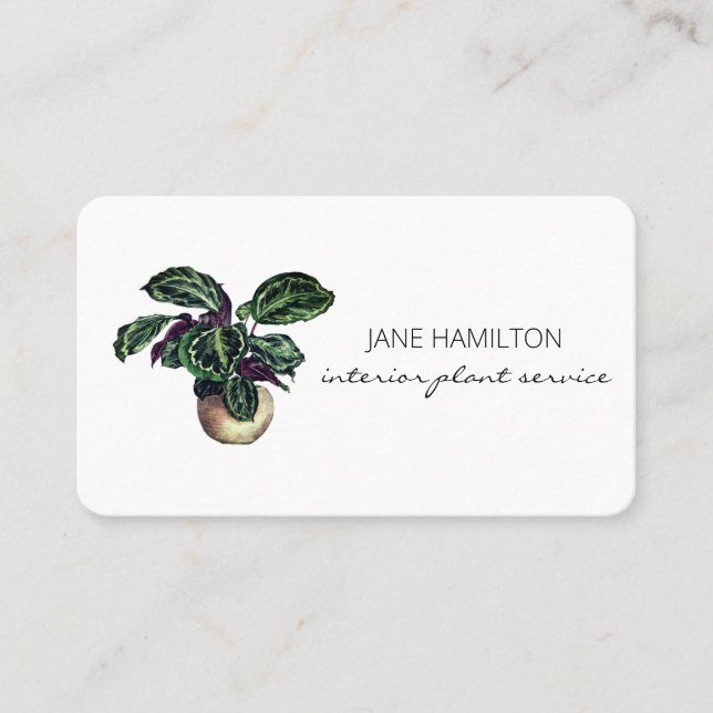 Carte de visite de service Plante design d'intérie (Devant)