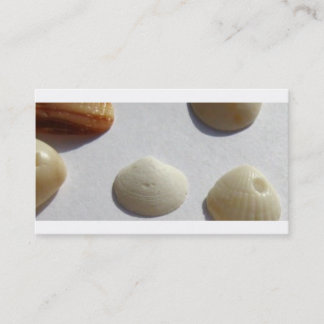 Carte de visite de Shell de mer d'océan