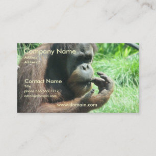 Carte de visite de singe d'orang-outan