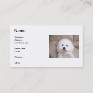 Carte de visite de sourire de Bichon Frise