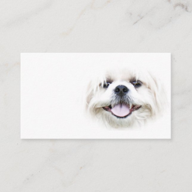 Carte de visite de sourire de tzu de shih (Devant)