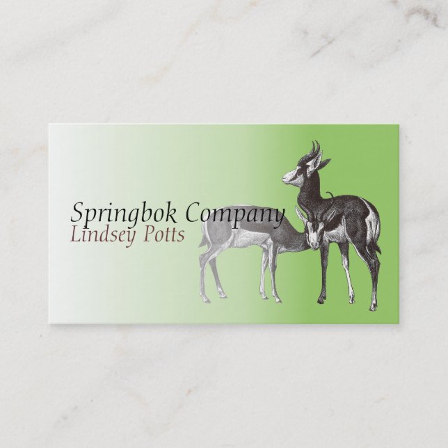 Carte de visite de springbok (Devant)