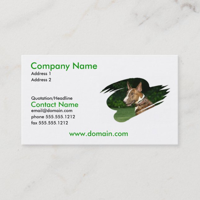 Carte de visite de Terrier de pitbull (Devant)