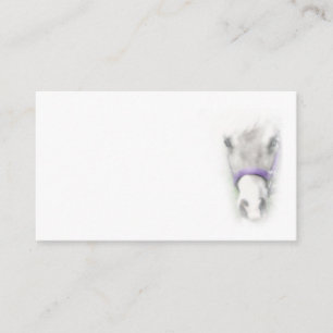 Carte de visite de tête de cheval