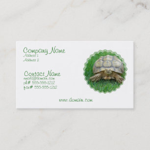 Carte de visite de tortue