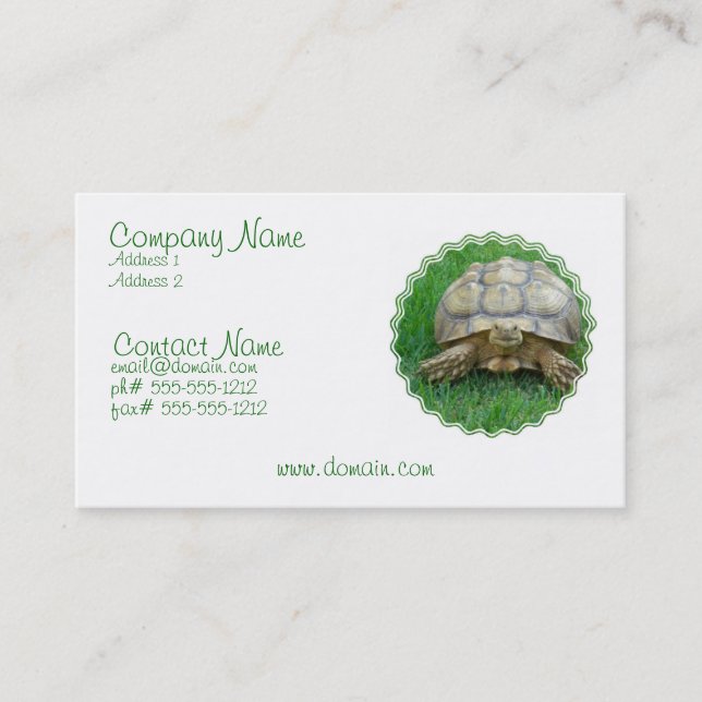 Carte de visite de tortue (Devant)