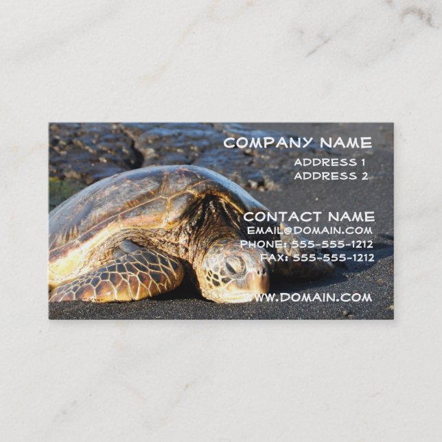Carte de visite de tortue de mer (Devant)