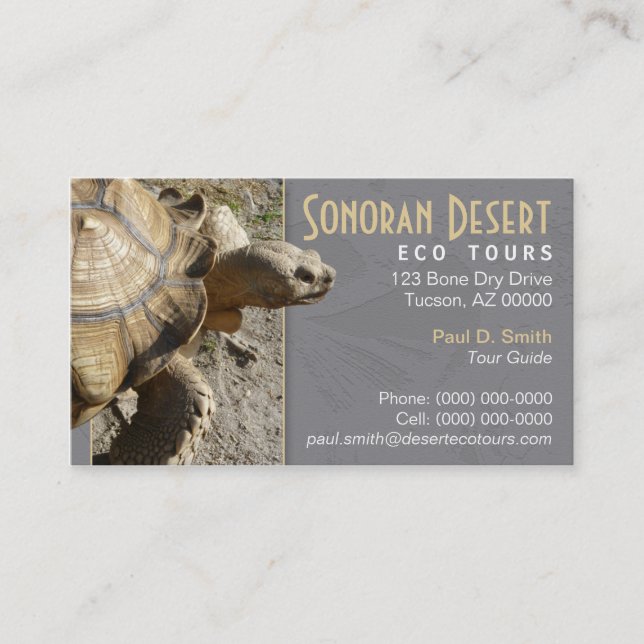Carte de visite de tortue/tortue (Devant)