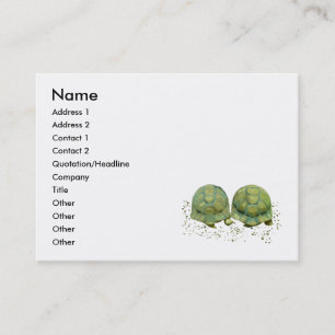 Carte de visite de tortues de bande dessinée