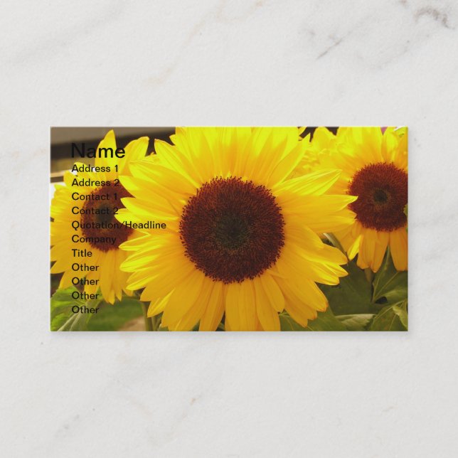 Carte de visite de tournesols (Devant)