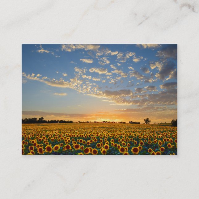 Carte de visite de tournesols 2 (Devant)