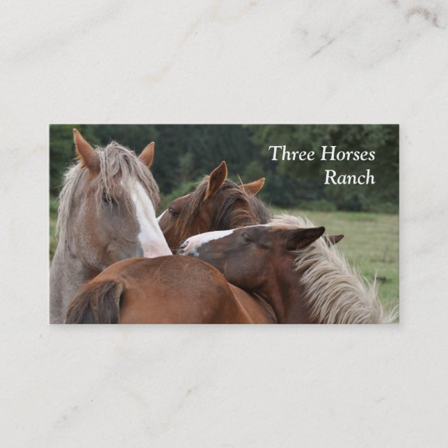 Carte de visite de trois chevaux (Devant)