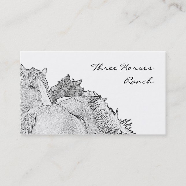 Carte de visite de trois chevaux (Devant)