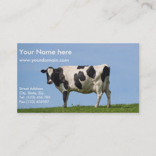 carte de visite de vache laitière