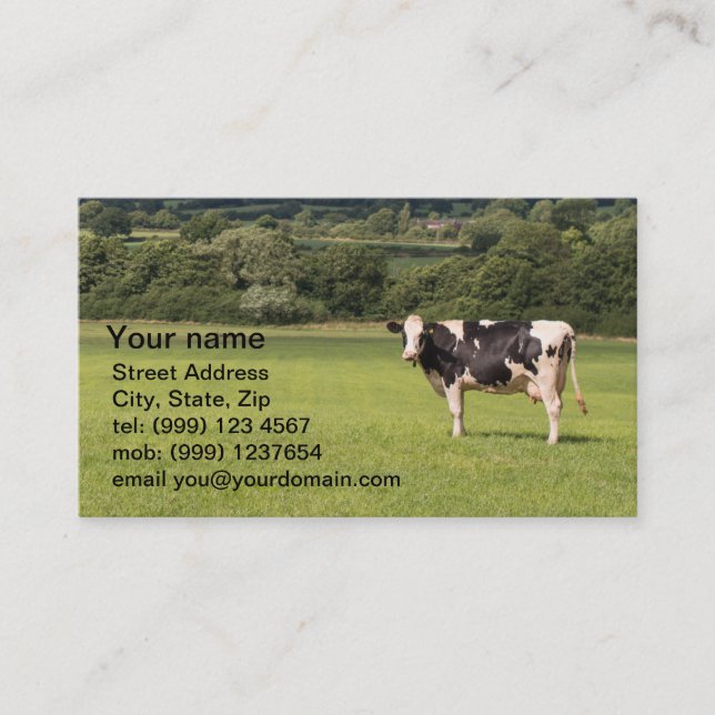 Carte de visite de vache laitière (Devant)