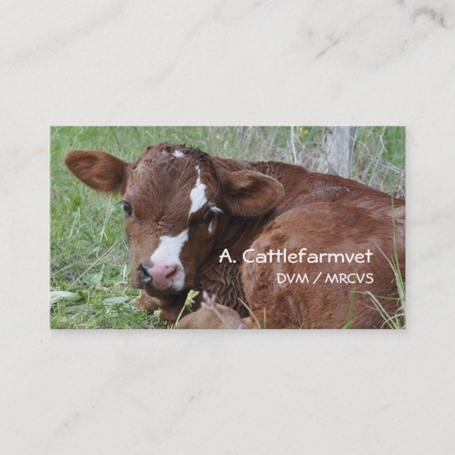 Carte de visite de veau (Devant)