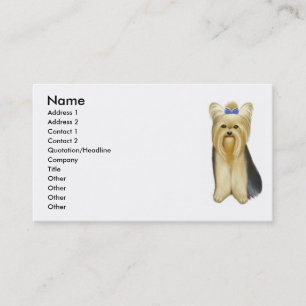 Carte de visite de Yorkshire Terrier