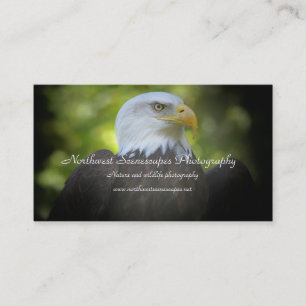 Carte de visite d'Eagle chauve