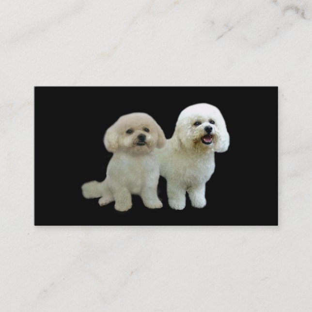Carte de visite d'éleveur de Bichon (Devant)