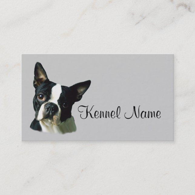 Carte de visite d'éleveur de Boston Terrier (Devant)