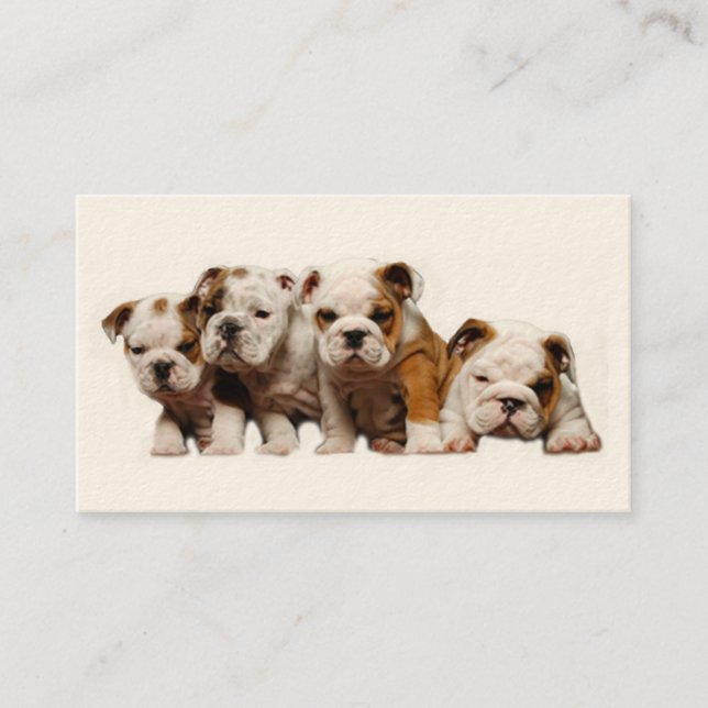 Carte de visite d'éleveur de bouledogue (Devant)