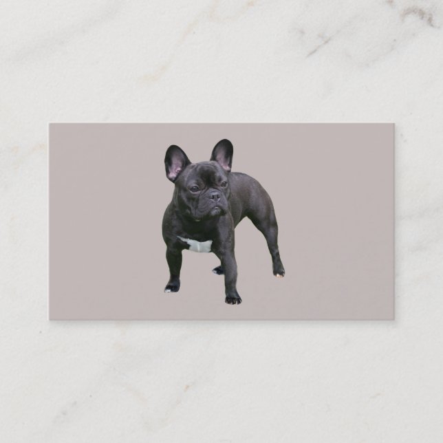 Carte de visite d'éleveur de bouledogue français (Devant)