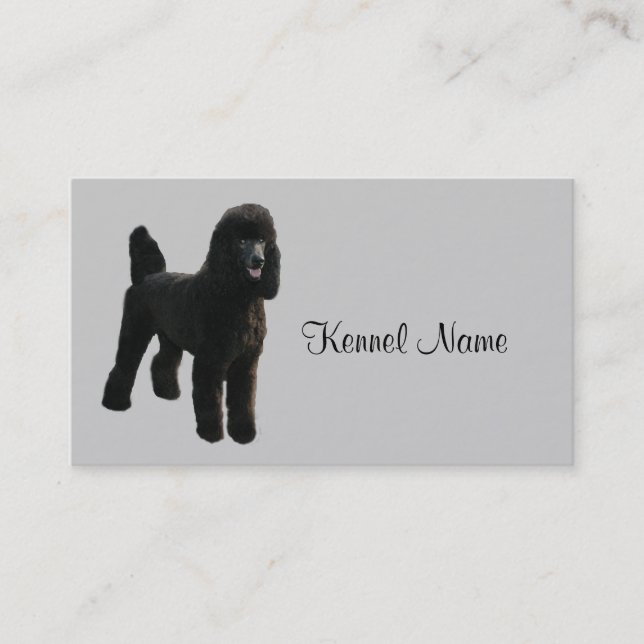 Carte de visite d'éleveur de caniche (Devant)