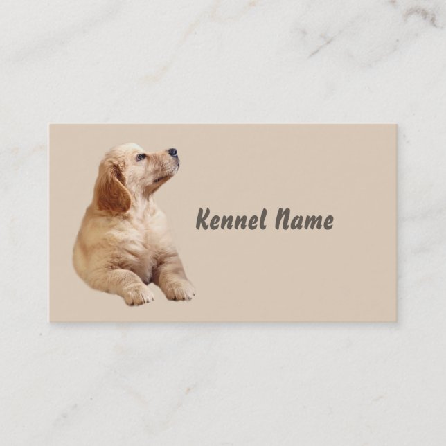 Carte de visite d'éleveur de golden retriever (Devant)