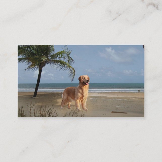 Carte de visite d'éleveur de golden retriever (Devant)