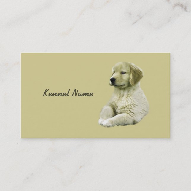 Carte de visite d'éleveur de golden retriever (Devant)