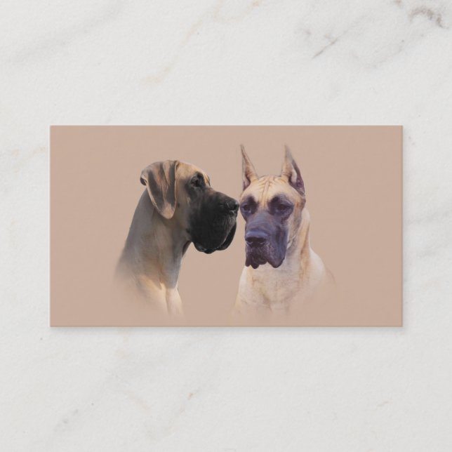 Carte de visite d'éleveur de great dane (Devant)
