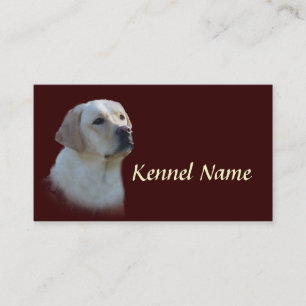 Carte de visite d'éleveur de labrador retriever