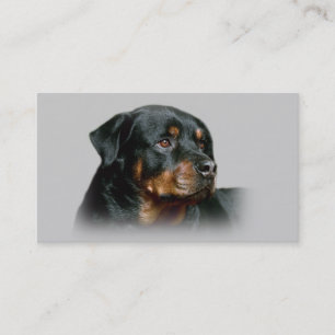 Carte de visite d'éleveur de rottweiler