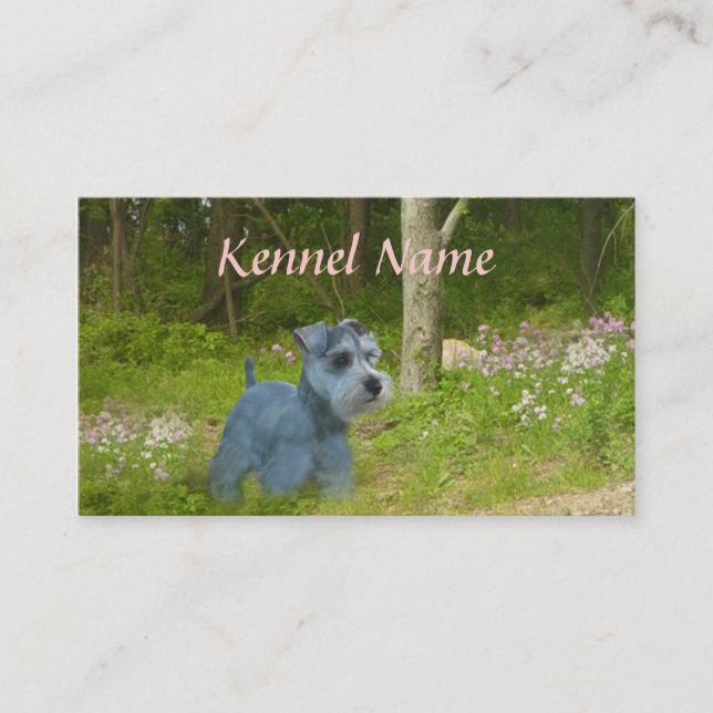 Carte de visite d'éleveur de Schnauzer miniature (Devant)