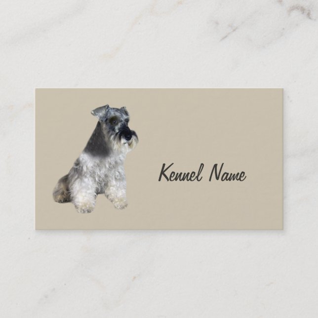 Carte de visite d'éleveur de Schnauzer miniature (Devant)