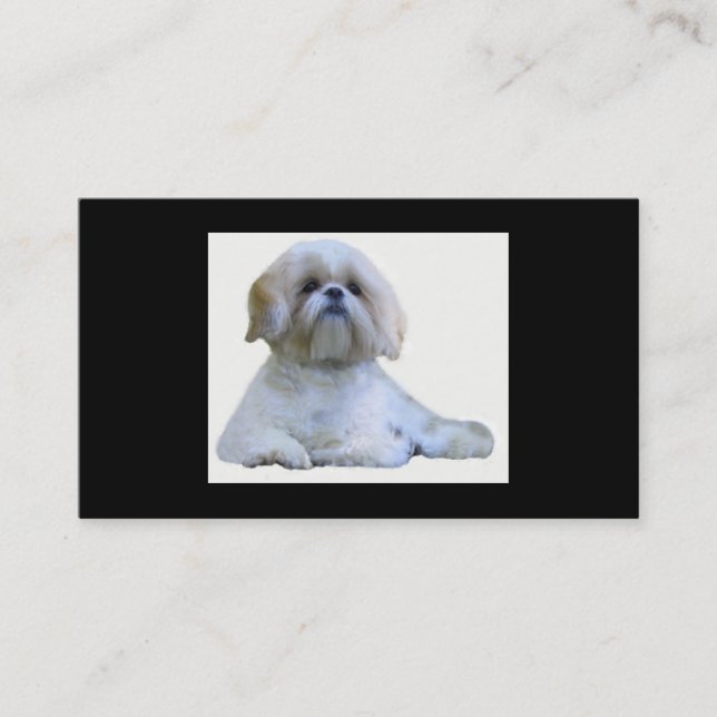 Carte de visite d'éleveur de Shih Tzu (Devant)