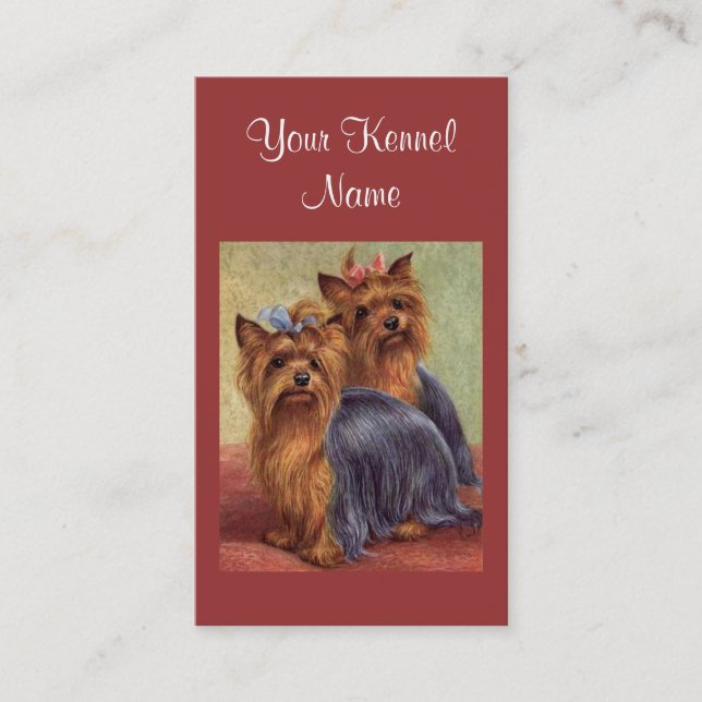 Carte de visite d'éleveur de Yorkshire Terrier (Devant)
