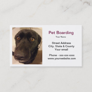 Carte de visite d'embarquement d'animal familier