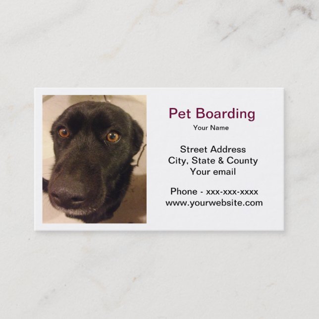 Carte de visite d'embarquement d'animal familier (Devant)