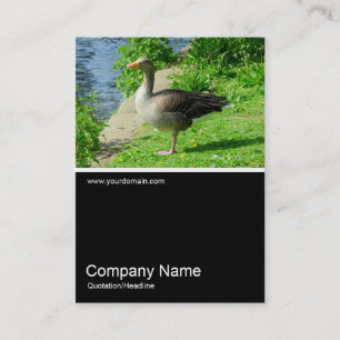 Carte De Visite Demi&demi photo 0224 - Oie de Greylag