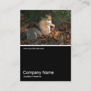 Carte De Visite Demi&Demi Photo 0258 - Écureuil gris